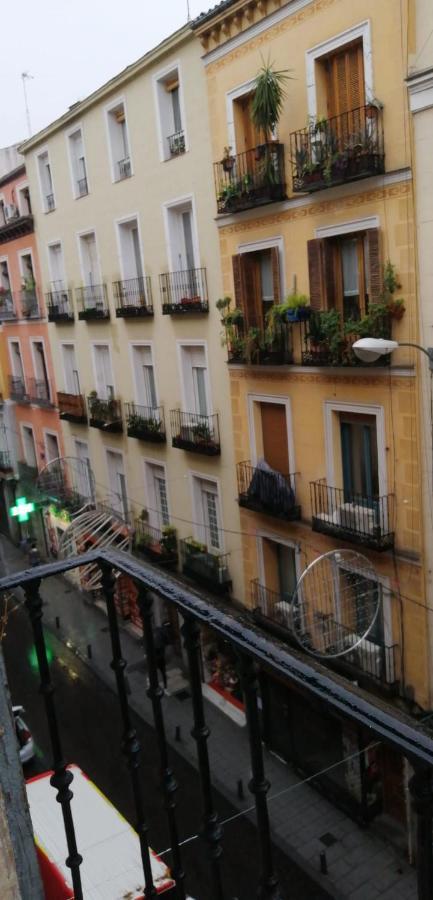Triple Room Balcony,1156212360:JPEG